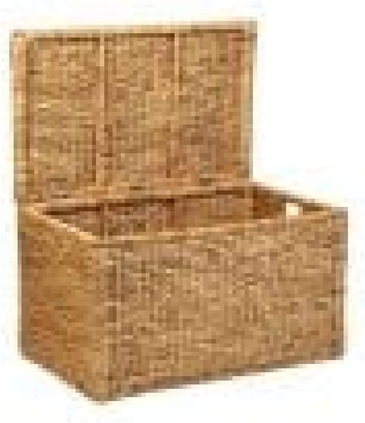 Homesmiths Water Hyacinth Storage Trunk - Image 3