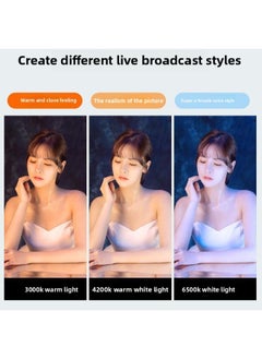 General Live Light Filling Computer Anchor Desktop Dedicated Beauty Rejuvenation Studio Double Row LED Shaking Audio And Video Background-Specifications:【remote Control Model☆3000lm】 Double Row Fill Light (  - Image 5