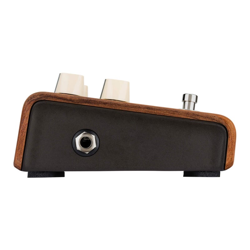 LR Baggs L.R. Baggs Align Reverb Acoustic Guitar Effect Pedal - Image 4