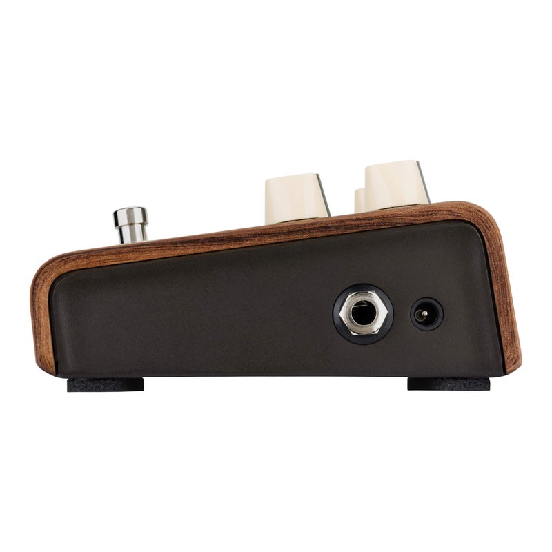 LR Baggs L.R. Baggs Align Reverb Acoustic Guitar Effect Pedal - Image 5