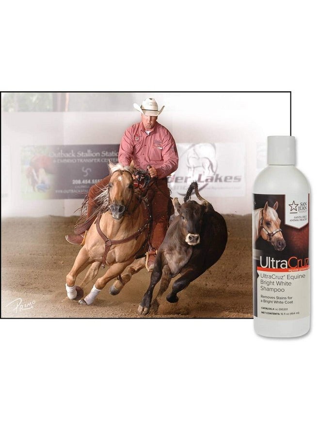 UltraCruz UltraCruz - sc-395301 Equine Bright White Horse Shampoo, 16 oz,Purple  - Image 2