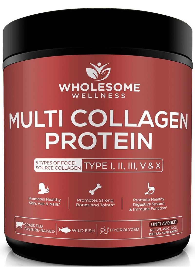 Wholesome Wellness Multi Collagen Protein Powder, Unflavored, 16 oz  - Image 1
