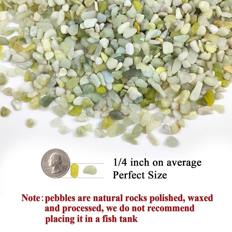 FANTIAN Jade Pebbles for Indoor Plants,1/4 Inch (3-6 MM) Polished Green Pea Gravel Small Rocks for Plants, Succulents, Cactus, Vases, Terrarium - Image 2