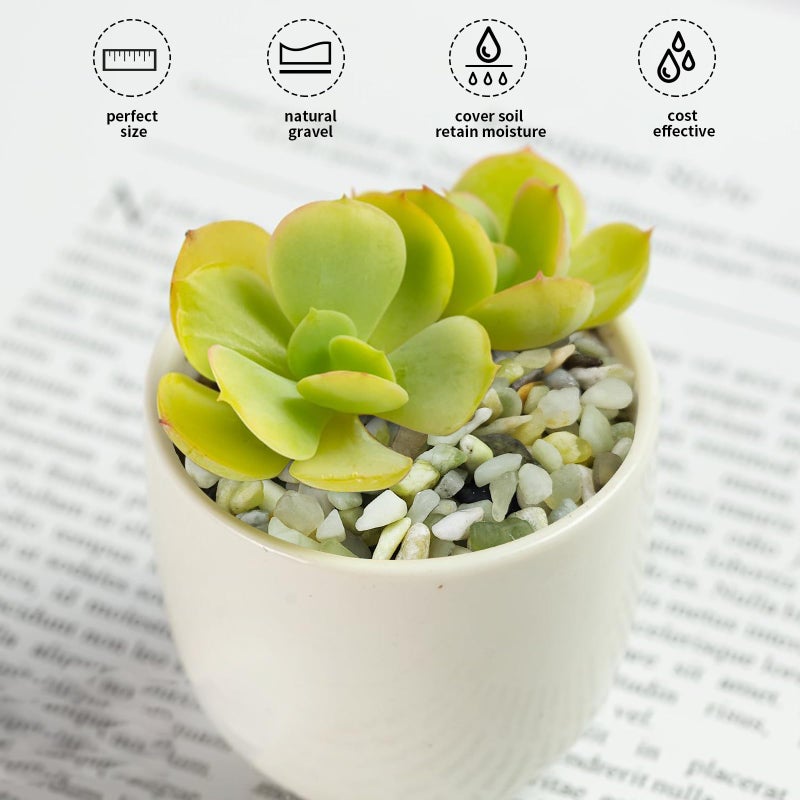 FANTIAN Jade Pebbles for Indoor Plants,1/4 Inch (3-6 MM) Polished Green Pea Gravel Small Rocks for Plants, Succulents, Cactus, Vases, Terrarium - Image 4