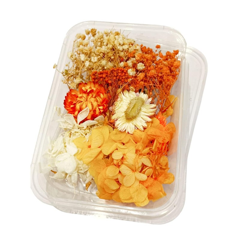 Craftolive Natural Real Dry Flower Box for Resin Art, Nail Art, Card Making, Candle Making and Other Multipurpose DIY Craft Use, Dried Flowers(1 Random Colour Box) - Image 5