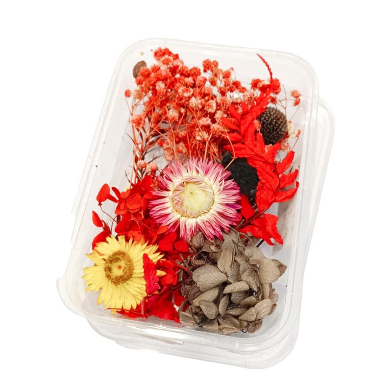 Craftolive Natural Real Dry Flower Box for Resin Art, Nail Art, Card Making, Candle Making and Other Multipurpose DIY Craft Use, Dried Flowers(1 Random Colour Box) - Image 3