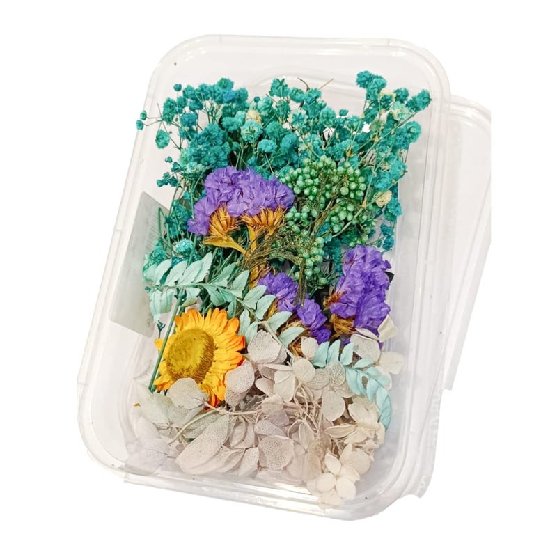 Craftolive Natural Real Dry Flower Box for Resin Art, Nail Art, Card Making, Candle Making and Other Multipurpose DIY Craft Use, Dried Flowers(1 Random Colour Box) - Image 4