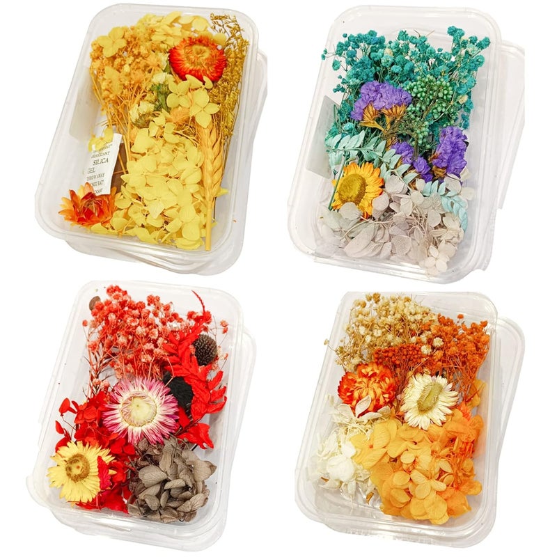 Craftolive Natural Real Dry Flower Box for Resin Art, Nail Art, Card Making, Candle Making and Other Multipurpose DIY Craft Use, Dried Flowers(1 Random Colour Box) - Image 1