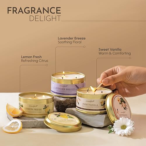 Aromahpure Lavender 3 Wick Candle in Container with Lid Pack of 3 | 85g Each | Burn Time 7 Hours Each | Scented Candle | Relaxing Aromatherapy Candles for Home Décor, Gifting, Bedroom & Spa - Image 2