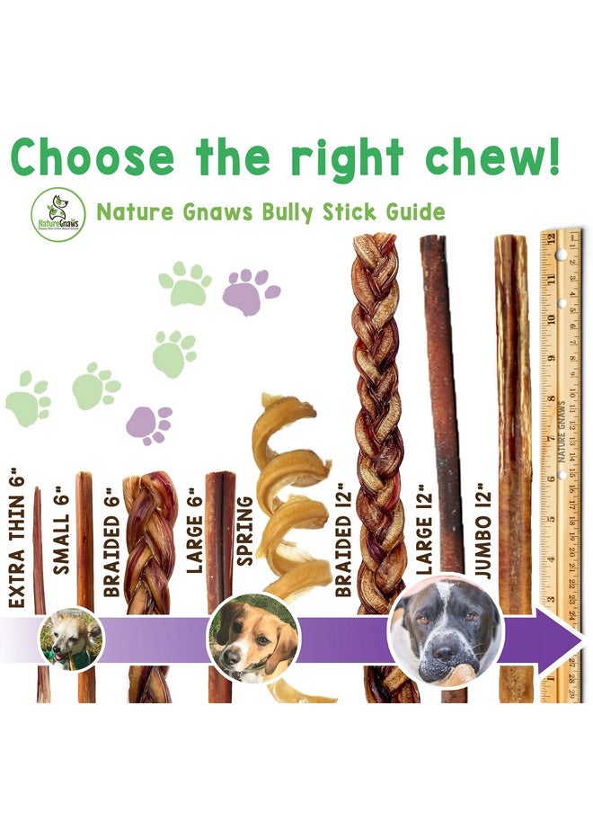 NATURE Extra Thin Bully Sticks For Small Dogs 56" (10 Count)  Long Lasting For Light Chewers And Puppies  Natural Beef Dog Chew Bones  - Image 5