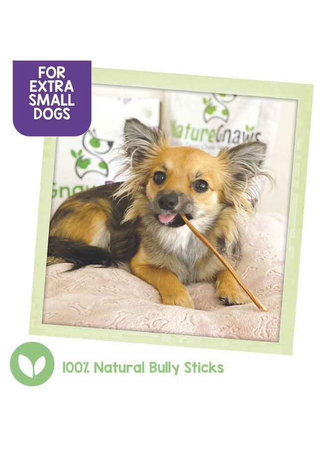 NATURE Extra Thin Bully Sticks For Small Dogs 56" (10 Count)  Long Lasting For Light Chewers And Puppies  Natural Beef Dog Chew Bones  - Image 2