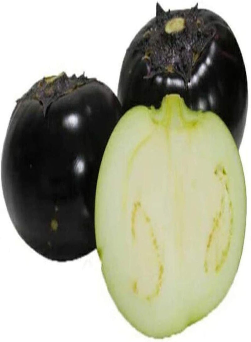 جي جوت 500 قطعة من بذور الباذنجان لزراعة خضروات صحية جذابة باذنجان طازج سريع النمو قابل للتكيف أضف اللون إلى حديقة منزلك - Image 2