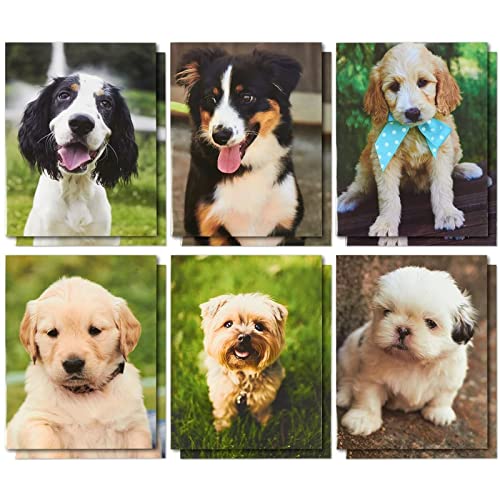 BLUE PANDA 12 Pack Dogs Pocket File Folders Decorative Puppy Designs for Kids School Office Letter Size 12x95 in Cute Folders