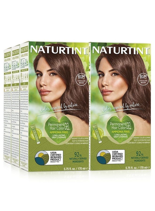 NATURTINT صبغة شعر دائمة 6GM بني شوكولاتة (عبوة من 6) ، خالية من الأمونيا ، نباتية ، خالية من القسوة ، تغطية تصل إلى 100% من الشعر الرمادي ، نتائج طويلة الأمد - Image 1