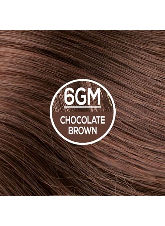 NATURTINT صبغة شعر دائمة 6GM بني شوكولاتة (عبوة من 6) ، خالية من الأمونيا ، نباتية ، خالية من القسوة ، تغطية تصل إلى 100% من الشعر الرمادي ، نتائج طويلة الأمد - Image 2