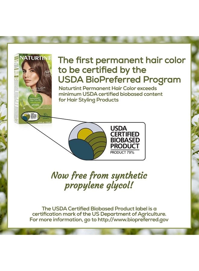 NATURTINT صبغة شعر دائمة 6GM بني شوكولاتة (عبوة من 6) ، خالية من الأمونيا ، نباتية ، خالية من القسوة ، تغطية تصل إلى 100% من الشعر الرمادي ، نتائج طويلة الأمد - Image 4