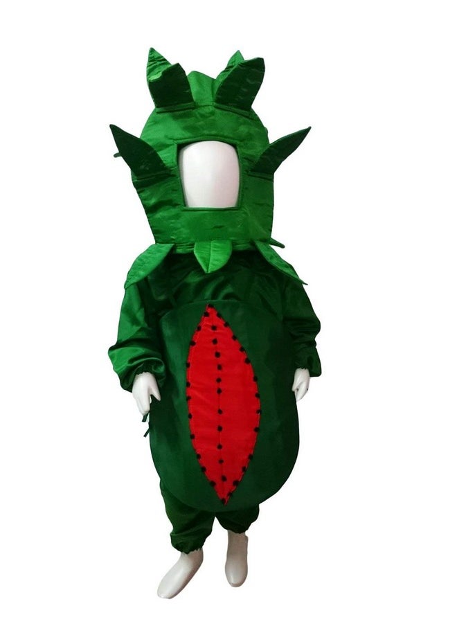 BookMyCostume BookMyCostume Watermelon Fruit Kids Fancy Dress Costume 5-6 years  - Image 1