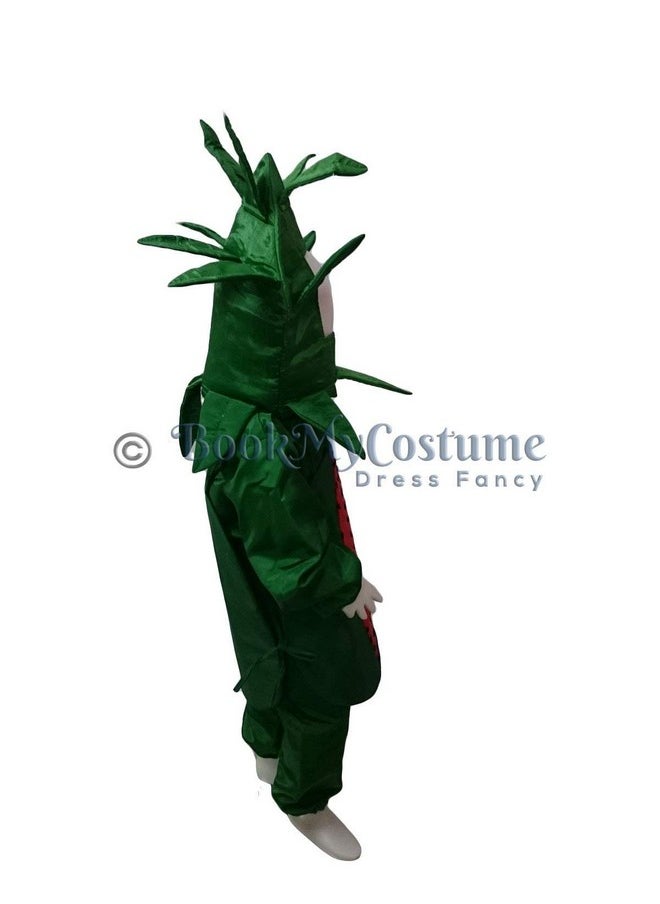 BookMyCostume BookMyCostume Watermelon Fruit Kids Fancy Dress Costume 5-6 years  - Image 2