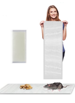 Sticky Rat Traps Mouse Glue Traps, Rat Traps for House Trapping Snakes Spiders Roaches Other Rodents,Indoor Outdoor Non Multi Catch Pest Trap - pzsku/Z0F2AEB1EFE5FF19A3446Z/45/1746215901/4dc49fb2-e8f6-4fb3-ae6e-81ceff83492f
