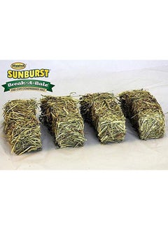 HigginS Higgins 2 Pack of Sunburst Break-a-Bale Compressed Timothy Hay, 35 Ounces Each, for Small Pets  - Image 2