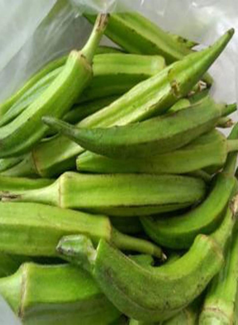 50Pcs/Bag of Okra Seeds High Germination Rate Easy to Grow Non-GMO Succulent Perennial Vegetable Seeds for Garden Home Farming Okra Seeds One Size