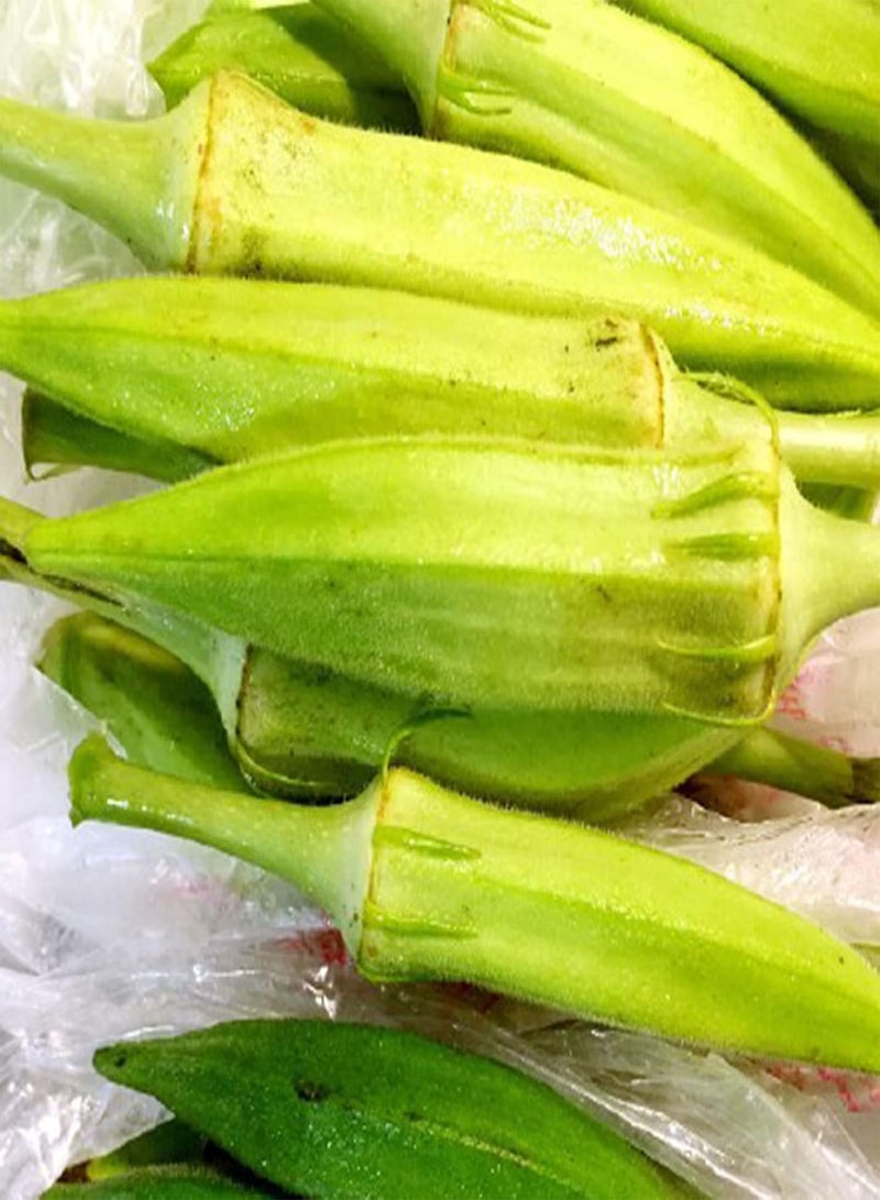 50Pcs/Bag of Okra Seeds High Germination Rate Easy to Grow Non-GMO Succulent Perennial Vegetable Seeds for Garden Home Farming Okra Seeds One Size