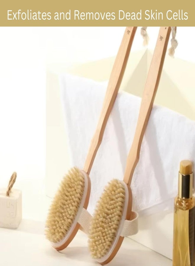 ألور فرشاة استحمام وجسم من ألور بمقبض خشبي طويل وشعيرات طبيعية - Image 4