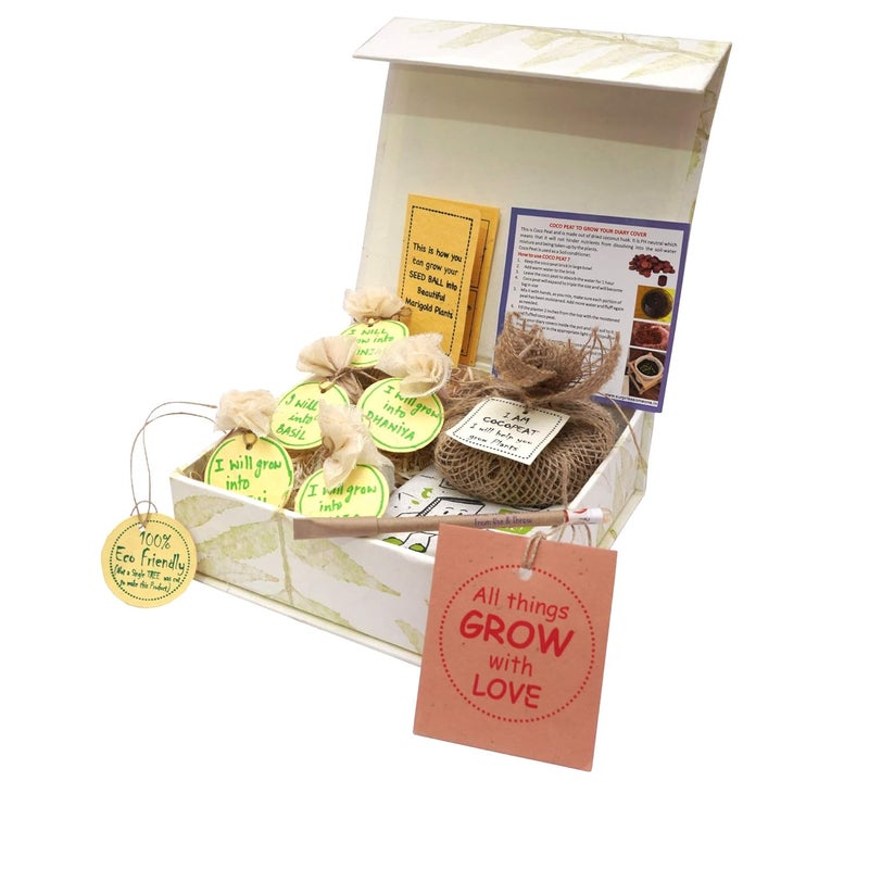 SURPRISE SOMEONE SURPRISE SOMEONE EcoFriendly Seed Balls Kit with 5 Different Seeds Plantable Diary Plantable Pen for Birthday Gift Anniversary Gift Love Boss Colleagues Best Friend Sustainable Gift  - Image 2