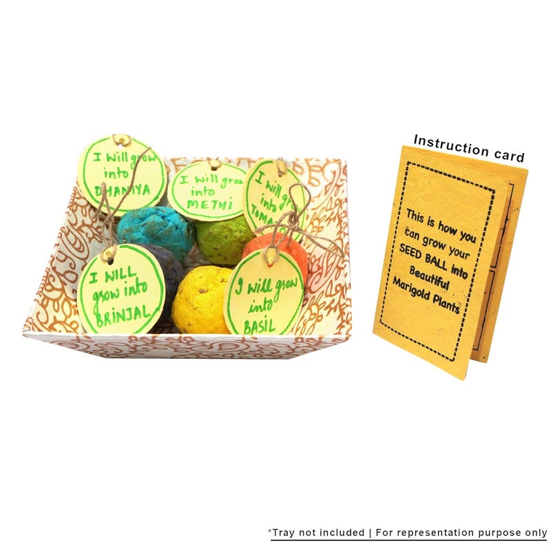SURPRISE SOMEONE SURPRISE SOMEONE EcoFriendly Seed Balls Kit with 5 Different Seeds Plantable Diary Plantable Pen for Birthday Gift Anniversary Gift Love Boss Colleagues Best Friend Sustainable Gift  - Image 5