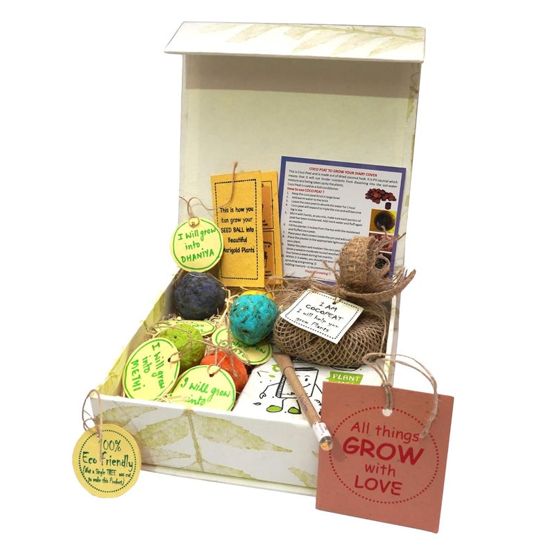 SURPRISE SOMEONE SURPRISE SOMEONE EcoFriendly Seed Balls Kit with 5 Different Seeds Plantable Diary Plantable Pen for Birthday Gift Anniversary Gift Love Boss Colleagues Best Friend Sustainable Gift  - Image 4