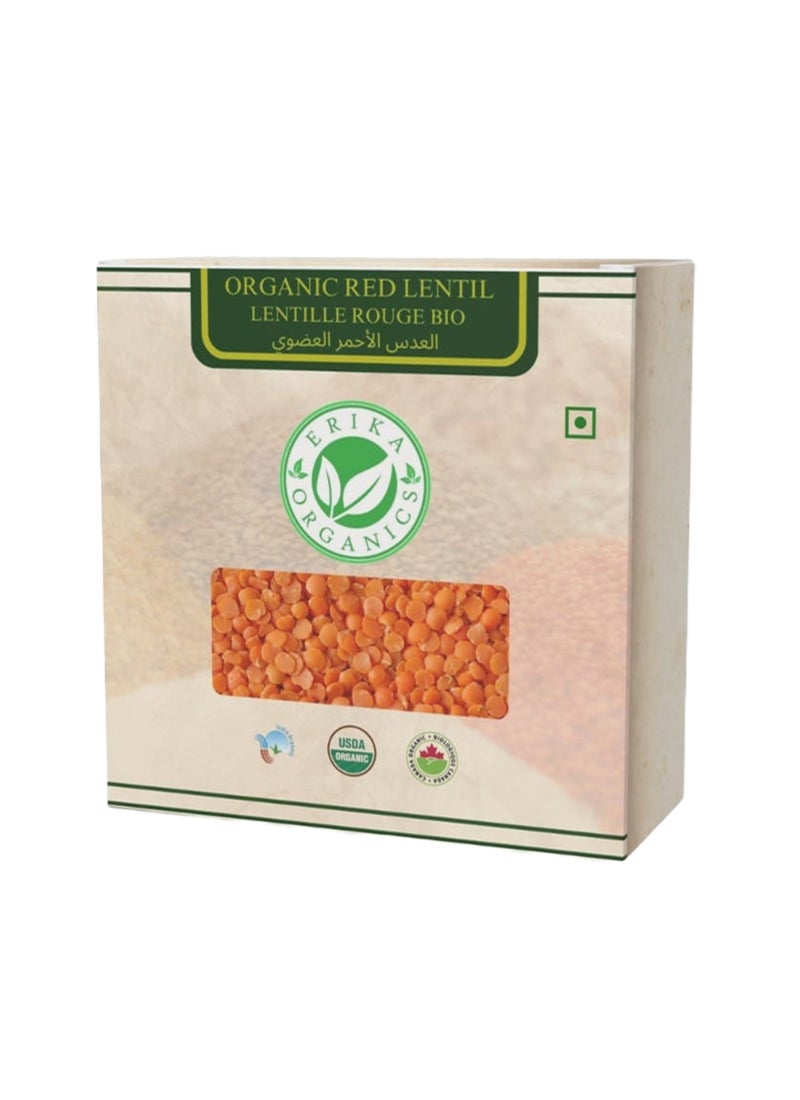 ERIKA ORGANICS Organic Red Lentil - Image 3