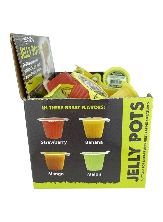 Komodo Jelly Pots Mixed Fruit Flavor Insect Food | Individually Portioned | Provides Nutrition & Hydration for Fruit-Eating Reptiles 40 Count Display (16g per Cup) - Image 4