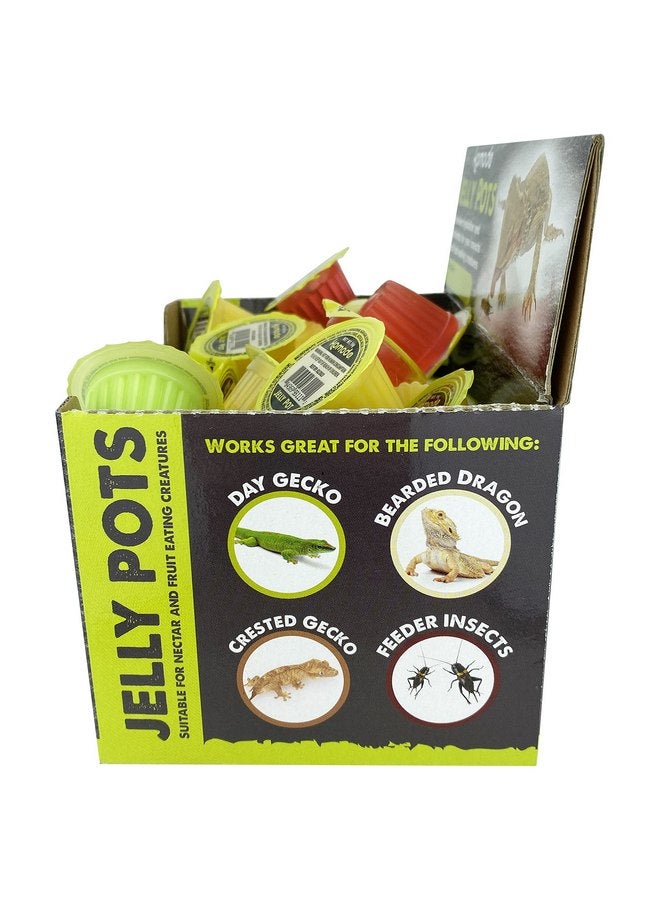 Komodo Jelly Pots Mixed Fruit Flavor Insect Food | Individually Portioned | Provides Nutrition & Hydration for Fruit-Eating Reptiles 40 Count Display (16g per Cup) - Image 5
