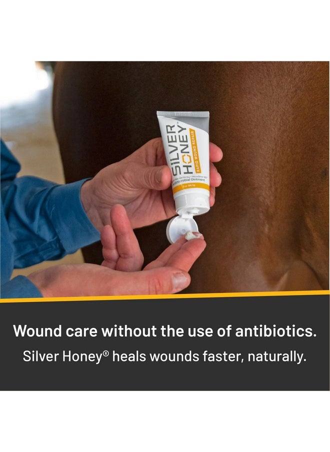 Absorbine - Silver Honey Rapid Wound Repair Ointment For Horses & Large Animals, 2Oz Tube - Image 1