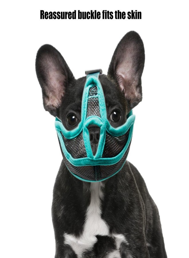 plplaaoo Short Snout Dog Muzzle Mesh Adjustable Breathable Anti Biting Bulldog Short Snout Muzzle for Dogs, Unique Design, Reassuring Buckle, Fully Ventilated Mesh, Adjustable Straps, (S) - Image 2