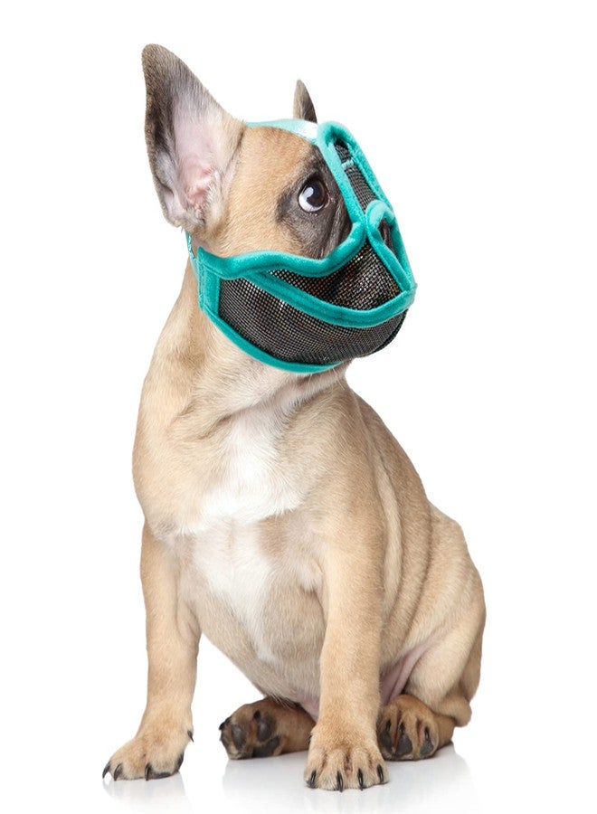 plplaaoo Short Snout Dog Muzzle Mesh Adjustable Breathable Anti Biting Bulldog Short Snout Muzzle for Dogs, Unique Design, Reassuring Buckle, Fully Ventilated Mesh, Adjustable Straps, (S) - Image 3