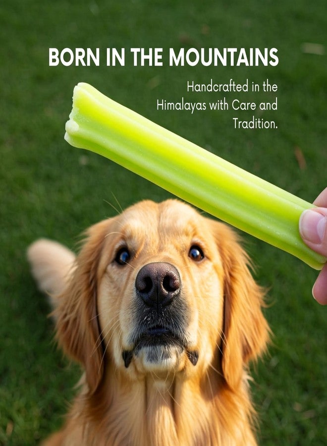 Puprazy Chew Bars for Dog | 100% Natural Himalayan Yak Chews | Smoke Dried | Long Lasting | Helps Fight Plaque & Tartar | Promotes Healthy Immune System (Pack of 2 Bars) (Small, Mint) - Image 4