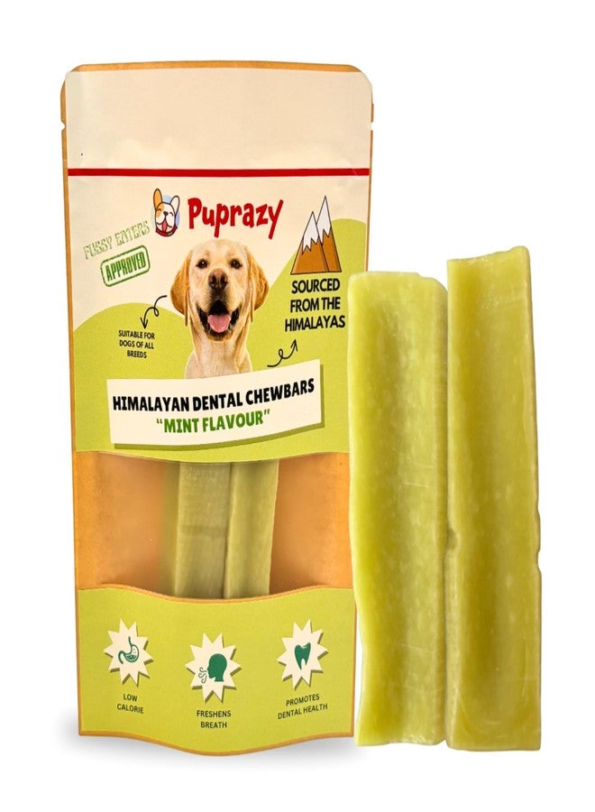 Puprazy Chew Bars for Dog | 100% Natural Himalayan Yak Chews | Smoke Dried | Long Lasting | Helps Fight Plaque & Tartar | Promotes Healthy Immune System (Pack of 2 Bars) (Small, Mint) - Image 1