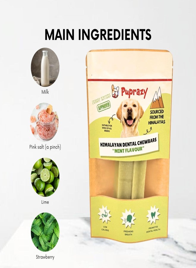 Puprazy Chew Bars for Dog | 100% Natural Himalayan Yak Chews | Smoke Dried | Long Lasting | Helps Fight Plaque & Tartar | Promotes Healthy Immune System (Pack of 2 Bars) (Small, Mint) - Image 2