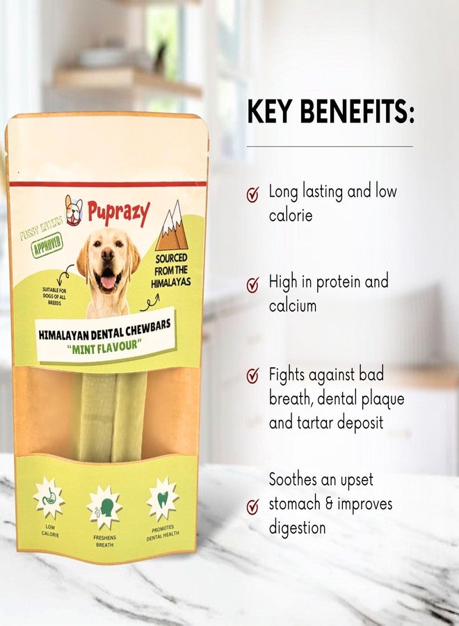 Puprazy Chew Bars for Dog | 100% Natural Himalayan Yak Chews | Smoke Dried | Long Lasting | Helps Fight Plaque & Tartar | Promotes Healthy Immune System (Pack of 2 Bars) (Small, Mint) - Image 3