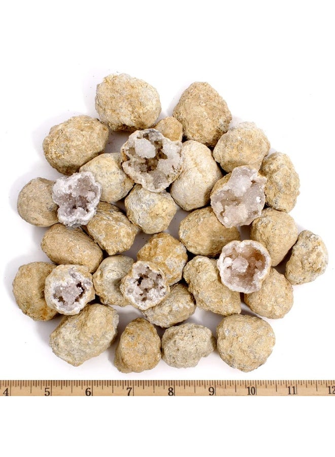 DANCING BEAR 25 Break Your Own Geodes, (Medium 1-1.5") 90% Hollow, Crack Open & Discover Amazing Surprise Crystals Inside! Educational Info and Instructions Included, Fun Party Favors & Prizes - Image 4