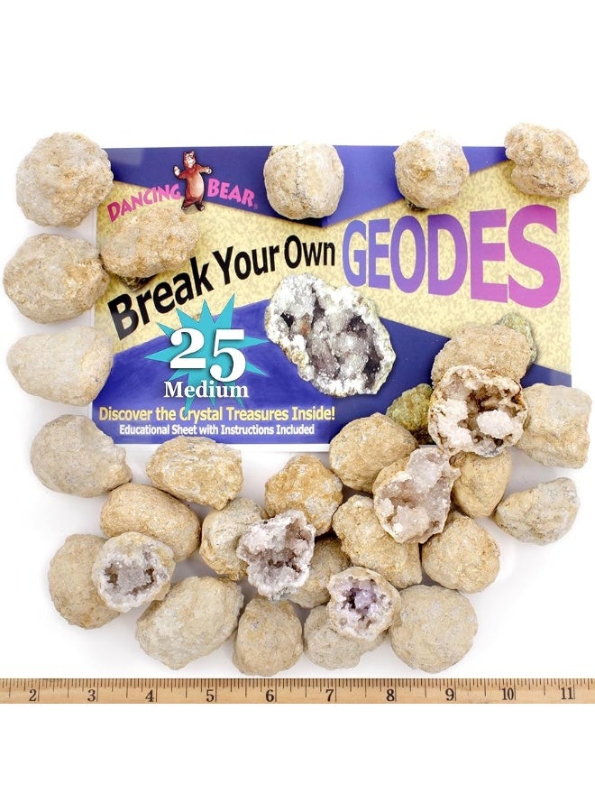 DANCING BEAR 25 Break Your Own Geodes, (Medium 1-1.5") 90% Hollow, Crack Open & Discover Amazing Surprise Crystals Inside! Educational Info and Instructions Included, Fun Party Favors & Prizes - Image 5