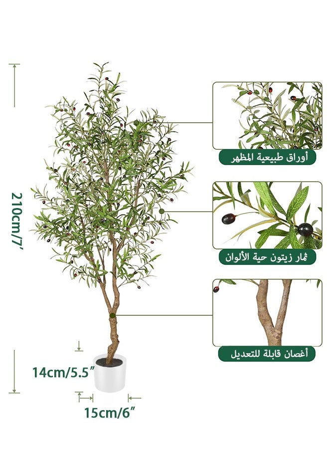 Zvezvia 210CM Faux Olive Tree - Fake Potted Olive Silk Tree with Planter Natural Olive Branches and Realistic Leaves Artificial Tree for Home House Office Decor Indoor  - Image 3