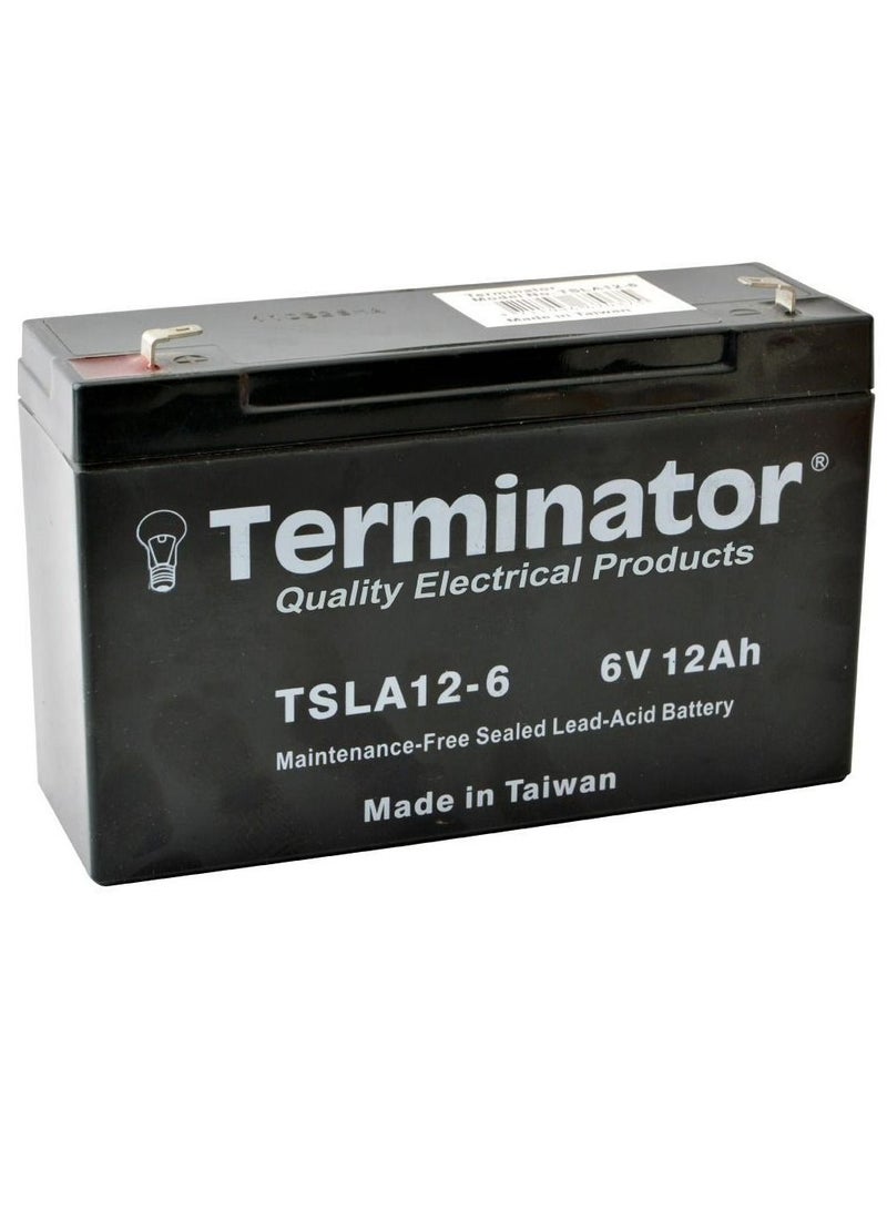 Terminator Sealed Lead Acid Battery 6V 12Ah