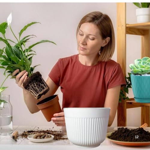 SOUVENIR 12 inch Flower Pot | Pack of 2 | for Home Decoration Big Size Plastic Durable Large Gamla for Plants Outdoor/Indoor Gardening Plant Pot for Home Terrace Lawn Balcony Nursery (White) - Image 5