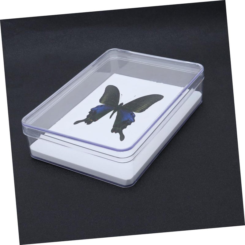 Globally spread simple design STOBAZA Insect Container Specimen Box Lid Lucite Display Case Plant Display Specimen Jewelry Storage Small Craft Durability boost selected material Lightweight Heat insulation layer Multiple sizes Occasional & permanent usable Transit damage minimized design Multi-style matching design Locally packed stock Chemical free Defect free upgraded substance All climate suitability Flexible varied design Cost saving user oriented build Hardness boosted processed substance Leakproof sealed Diverse application fit All consumer tier purchase options Medium weight Stable domestic stock Global standard processed material All condition fit Temp fluctuation resistant crafted quality Nationwide delivery Riyadh Jeddah Dammam ship - Image 3