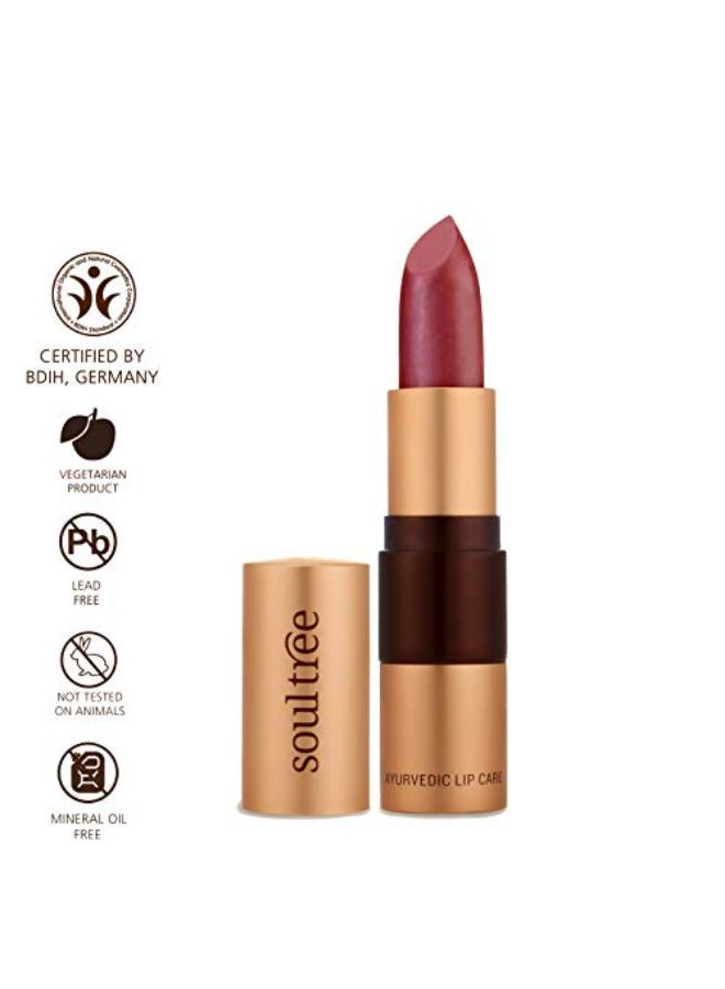 SOULTREE أحمر شفاه أيورفيدي - لون برقوق مثلج 520، 4 جرام - Image 2