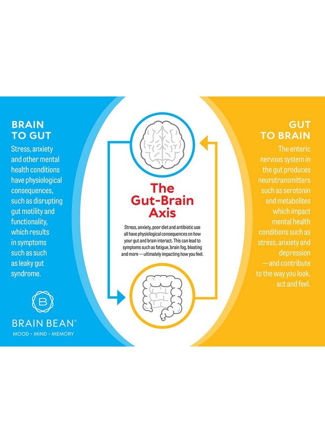 Brain-Bean Brain Basics Ultra Pure IgG Supplement - Dairy-Free Supplement IgG-Immunolin Powder, Blended Vitamin & Mineral Supplements, 150g, 60 Servings - Image 4