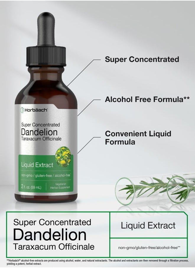 Horbäach Dandelion Root Extract | 2 fl oz | Super Concentrated | Alcohol Free Liquid Tincture | Vegetarian, Non-GMO, Gluten Free  - Image 3