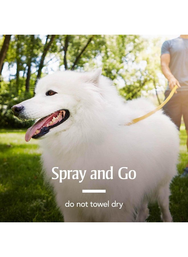 PetArmor Fastact Plus Flea And Tick Spray For Dogs And Cats 16 Oz  - Image 4